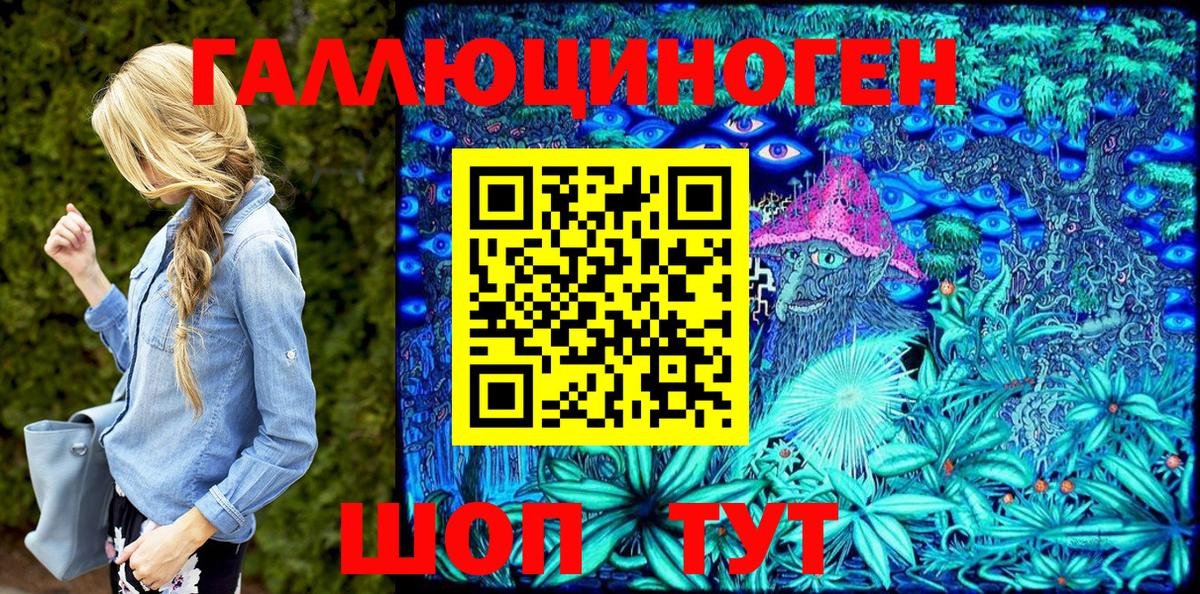Псилоцибиновые грибы Psilocybine cubensis Когалым