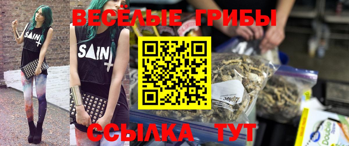 Псилоцибиновые грибы мухоморы  закладки  Вход с VPN  Когалым  Псилоцибиновые грибы Psilocybe 